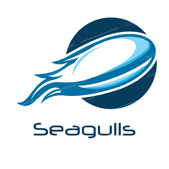 Beach City Seagulls